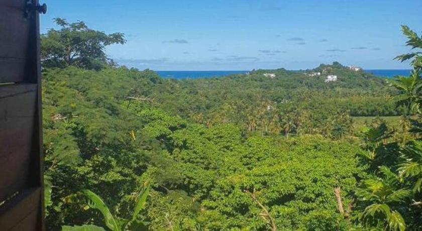 Bamboojam Villa Las Terrenas Kültér fotó