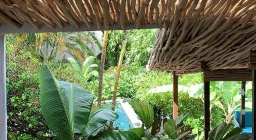 Bamboojam Villa Las Terrenas Kültér fotó